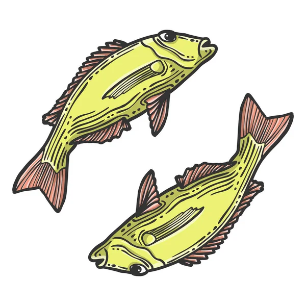 Fish. Vector concept in doodle and sketch style. Hand drawn illustration for printing on T-shirts, postcards. — Stock Vector