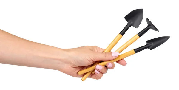 Рука з маленькими лопатями і граблі, дерев'яна ручка, декоративні інструменти . — стокове фото