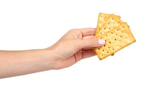 Hand mit salzigem Cracker, knuspriger Vorspeise, rechteckigem Plätzchen. isoliert — Stockfoto