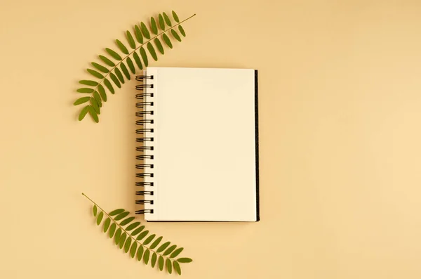 Green foliage, acacia branch and note pad composition on beige background. — Stock Photo, Image