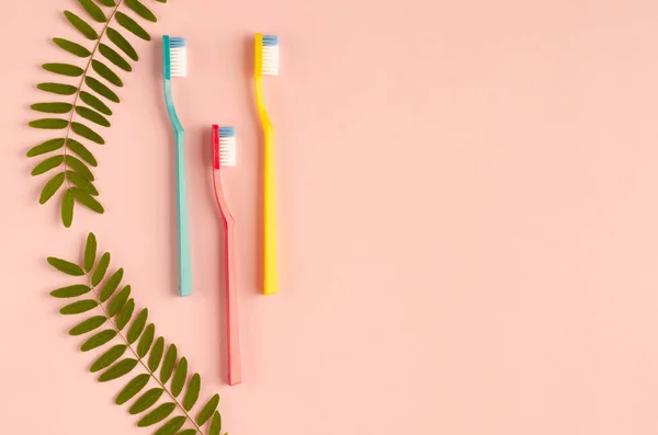 Colored toothbrushes composition on pink background. Flat lay. — Stock Photo, Image