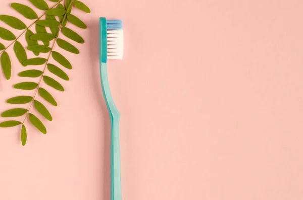 Colored toothbrushes composition on pink background. Flat lay. — Stock Photo, Image