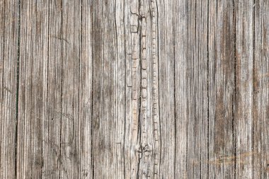 Ağaç kabuğu dokusu, eski kaba ahşap desen, makro görüntü..