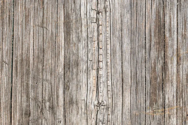 樹皮の質感 古いラフウッドパターン マクロ画像 — ストック写真