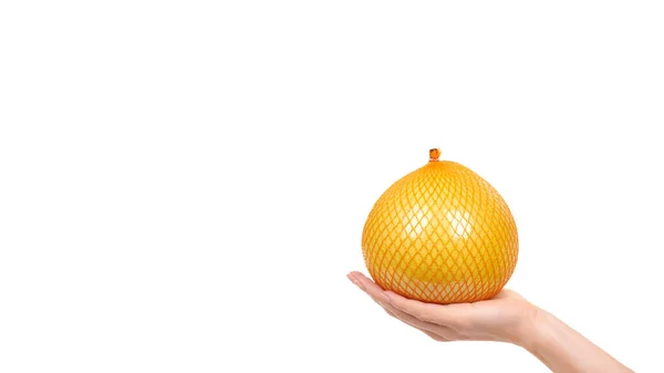 Mão Com Fruta Pomelo Fresca Suculenta Isolado Fundo Branco Espaço — Fotografia de Stock