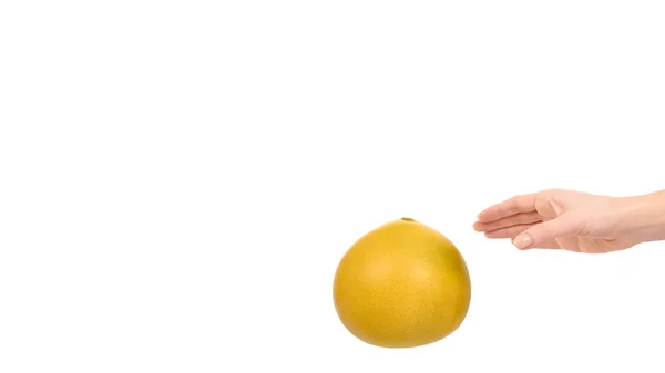 Mão Com Fruta Pomelo Fresca Suculenta Isolado Fundo Branco Espaço — Fotografia de Stock