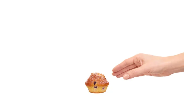 Hand Mit Hausgemachtem Blaubeer Cupcake Vereinzelt Auf Weißem Hintergrund Kopierraum — Stockfoto