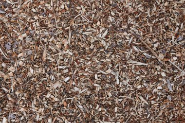 Tahta talaşı makro, kereste parçacıkları, doku..