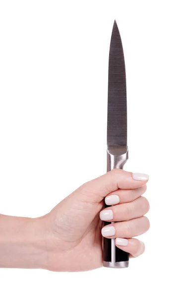 Stalowy Nóż Kuchenny Naczynia Domowe — Zdjęcie stockowe