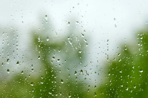 Raindrops on a window pane.