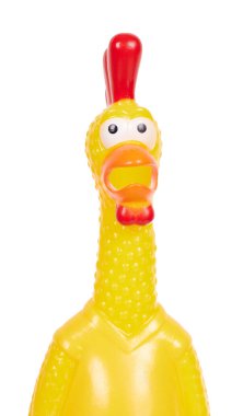 Komik lastik tavuk oyuncağı, çığlık çığlığa..