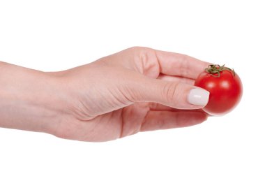 Kırmızı yuvarlak domates, taze ve sulu sebze..