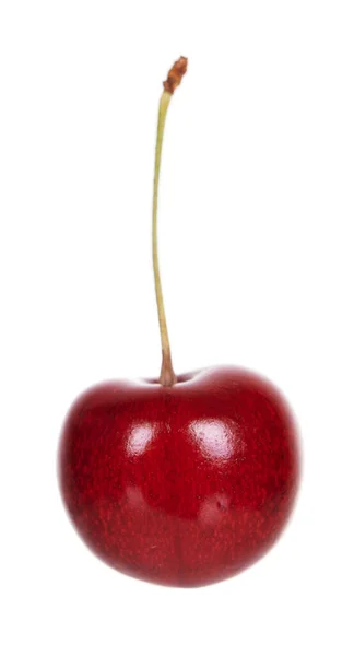 Red Ripe Cherry Stem — Stock Photo, Image