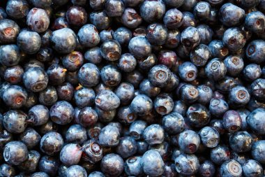 Olgun ve taze yaban mersini, tatlı meyve.