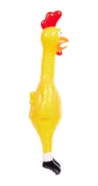 Funny Rubber Toy Chicken Screaming Opened Mouth — Stock Photo, Image