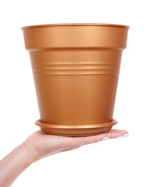 Boş saksı, bahçe konteynırı..