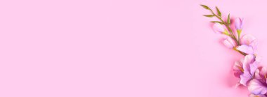 Pembe arkaplan bileşimi üzerine dekoratif çiçekler.