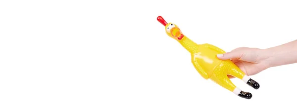 Zabawna Gumowa Zabawka Kurczaka Krzyki Otwarte Usta — Zdjęcie stockowe