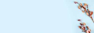 Mavi arkaplan kompozisyonu üzerine pamuk topu.