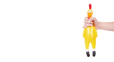 Komik lastik tavuk oyuncağı, çığlık çığlığa..
