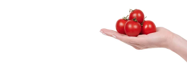 Red Tomato Fresh Juicy Vegetable — Stock Photo, Image