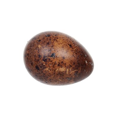Çiğ bıldırcın yumurtası, beyaz arka planda izole edilmiş. Yüksek kalite fotoğraf