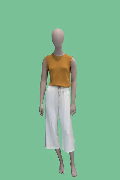 全长女性人体模型穿着在绿色背景上被孤立的休闲服 无品牌名称或版权对象 — 图库照片