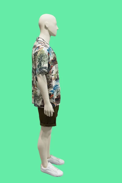 Полная Длина Мужского Манекена Одеты Летнюю Повседневную Одежду Изолированы Зеленом — стоковое фото