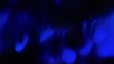 Soyut Pleksus Arka Plan Script