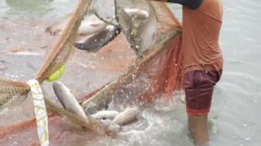 Hand-Reeled Harvest - A Dip Into The World of Commercial Fishing