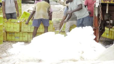 Vigorous Fishing - Men at Work in the Trenches