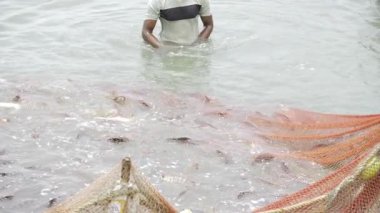 Fishing in the Wild Waters - A Man's Journey