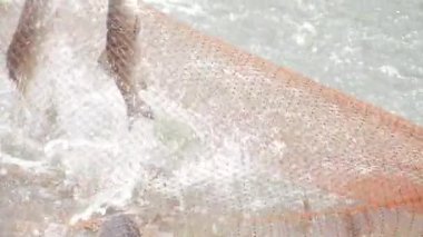 Uncovering the Secrets of the Ocean - A Journey into the World of Commercial Fishing in India