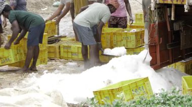 Resilient Crew - Harvesting the Frozen Gold in the Heart of the Arctic