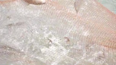 Unveiling the Art of Commercial Fishing - A Dive into the World's Largest Harvester of Marine Resources