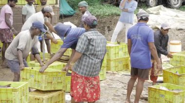Energetic Fishing Crew Preparing for a Big Catch