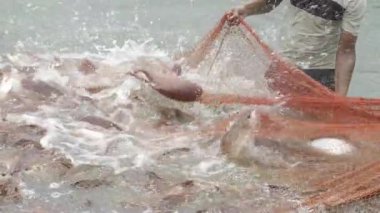 Thriving in the Wild - A Fisherman's Journey