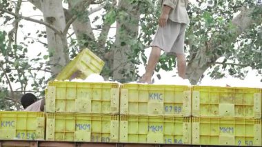 Exploring the World of Commercial Fishing - A Journey Aboard the Fishing Boat