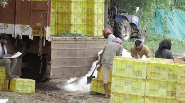 Efficient Commercial Fishing Operations - A Look Inside the Process