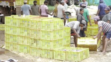 Bustling Fish Market - A Flurry of Activity and Fresh Harvest