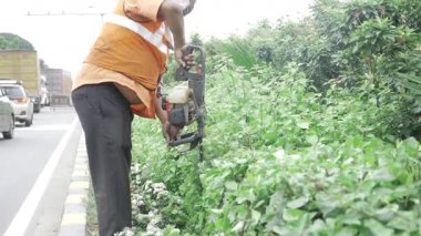 Effective Gardening - Efficient Trimming with Power Tools