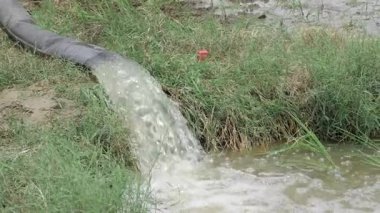 Streaming Elegantly - A Journey Through the Waters of Nature