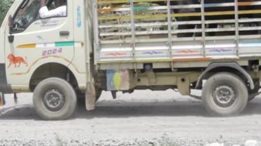 Navigating the Indian Roads - A Journey of Turbulence and Triumph