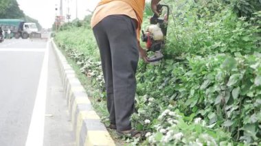 Skilled Garden Maintenance - Precision Trimming with Efficiency