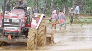 Overcoming Challenges - Farming in the Wild