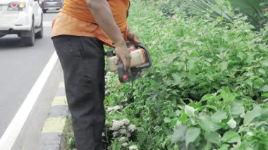 Efficient Roadside Maintenance - Trimming the Way to Safety