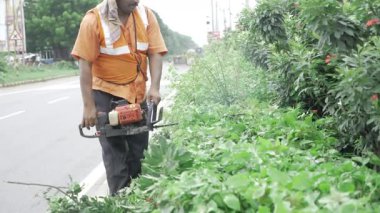 Efficient Roadside Maintenance - A Man's Skillful Trim
