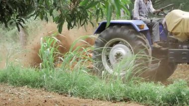 Unearthing India's Agricultural Might - A Journey Through the Fields