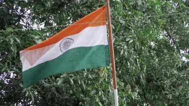 Exploring the National Flag of India - A Journey Through History and Culture