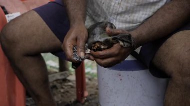Raw Meat Preparation - A Close-up Look at the Process